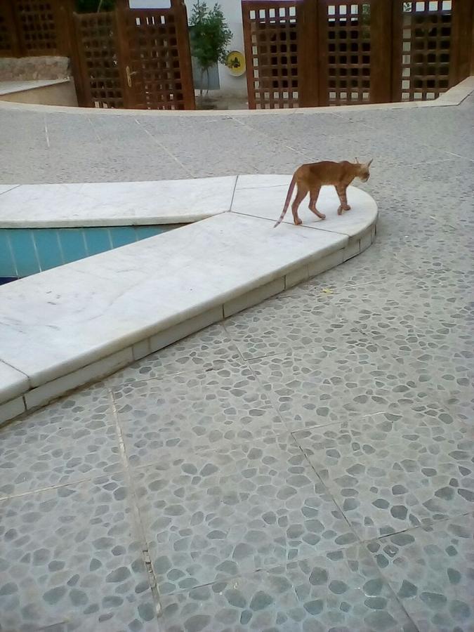 Residenz Suleder 1 Appartement Hurghada